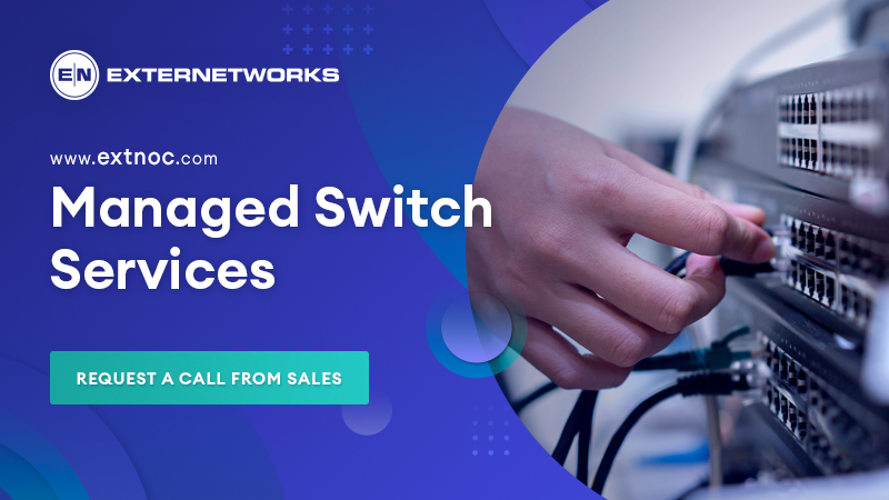 Managed Switch Services 